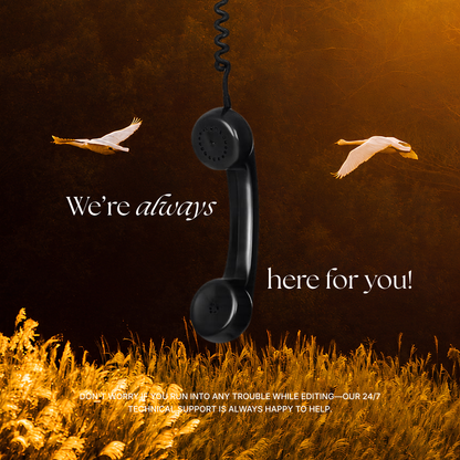 Burnt Orange Digital Wedding Invitation with RSVP, Music and Countdown Timer: Editable Canva Website (Digital Download)